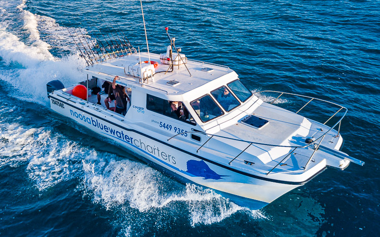 noosabluewater charters deep sea fishing 4